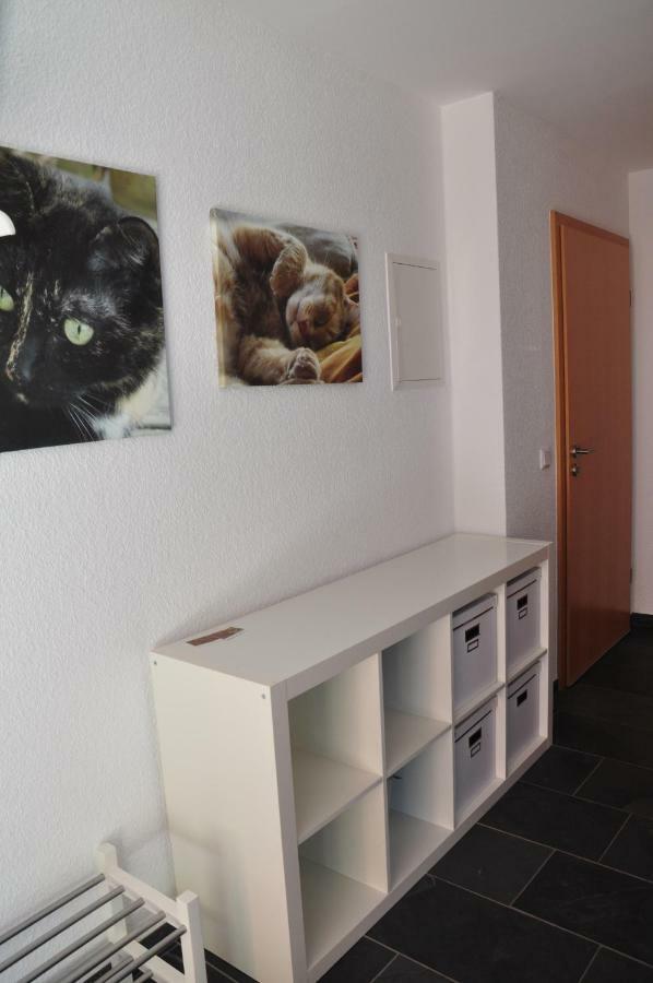 Ferienwohnung Roter Kater am Nationalpark Eifel Bergbuir Exterior foto