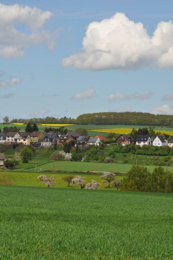 Ferienwohnung Roter Kater am Nationalpark Eifel Bergbuir Exterior foto